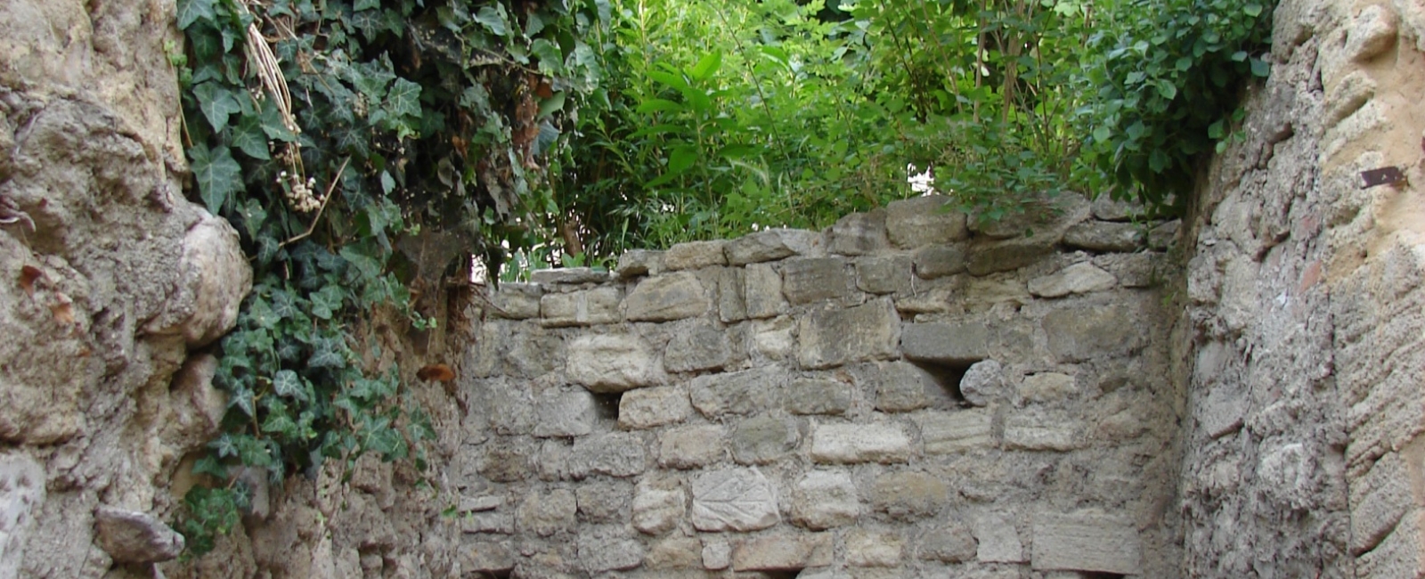 Mazan